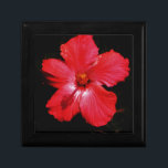 Joyero Flor de Hibiscus rojo rosado caliente en negro<br><div class="desc">Hermosa foto de una flor de Hibiscus rojo caliente en negro por la artista Sandra Marie Closs. Añade tu propio texto, nombre o monograma para crear el producto perfecto para cualquier ocasión. Boda, fiesta de la fiesta nupcial, simpatía, cumpleaños, ducha de bebé, cualquier celebración o solo para hacer su día...</div>