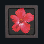 Joyero Flor de Hibiscus rojo rosado caliente en negro<br><div class="desc">Hermosa foto de una flor de Hibiscus rojo caliente en negro por la artista Sandra Marie Closs. Añade tu propio texto, nombre o monograma para crear el producto perfecto para cualquier ocasión. Boda, fiesta de la fiesta nupcial, simpatía, cumpleaños, ducha de bebé, cualquier celebración o solo para hacer su día...</div>