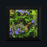 Joyero Flor morada y abeja burbuja<br><div class="desc">Flor de abeja púrpura y burbujas amarillas y negras. Foto de Sandy Closs tomada en Lake Arrowhead morado,  "bálsamo de abeja",  flor,  flores,  floral,  primavera,  cereza,  cerezas,  jardín,  boda,  bodas, </div>