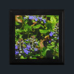 Joyero Flor morada y abeja burbuja<br><div class="desc">Flor de abeja púrpura y burbujas amarillas y negras. Foto de Sandy Closs tomada en Lake Arrowhead morado,  "bálsamo de abeja",  flor,  flores,  floral,  primavera,  cereza,  cerezas,  jardín,  boda,  bodas, </div>