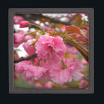 Joyero Flores de flores de cerezo rosado caliente<br><div class="desc">Flores de flores de cerezo rosado caliente Foto de Sandy Closs tomada en Lake Arrowhead Rosa,  flor,  flores,  flores,  flores,  primavera,  cerezas,  cerezas,  jardín,  boda,  bodas, </div>