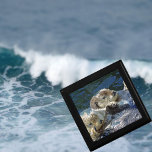 Joyero nutrias marinas<br><div class="desc">Foto de nutrias marinas de New Forest Pics</div>
