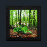 Joyero Orquídea salvaje de señora deslizador rosada<br><div class="desc">Foto salvaje de la orquídea de señora deslizador rosada de Sandy Closs, tomado en la punta de flecha GA del lago. Forma rosa clara del deslizador con venas rosadas más oscuras. Found que crecía salvaje en las maderas, por debajo algún arbolado floral floral de la primavera de la condolencia de...</div>