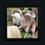 JOYERO OTTERS<br><div class="desc">Un diseño acuático de un par de pequeñas nutrias muy lindas.</div>