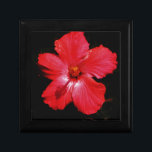 Joyero Red Hibiscus<br><div class="desc">Hibiscus Rojo Hibiscus es una planta floreciente de la familia mallow, Malvaceae. Es bastante grande, contiene varios cientos de especies que son nativas de regiones templadas, subtropicales y tropicales cálidas en todo el mundo. Envíe un mensaje a sandycloss@gmail.com o sandycloss.smugmug.com si desea ver alguno de estos diseños en un producto...</div>