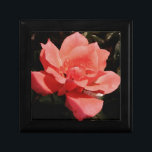 Joyero rosa de melocotón y gotas de lavado<br><div class="desc">Rosa de jardín encantador de melocotón rosa. perfecto para un boda, cumpleaños de novias de compromiso o Envíe un mensaje a sandycloss@gmail.com si desea ver alguno de estos diseños en un producto no mostrado. Con gusto haré un producto hecho a personalizado sólo para ti. Para buscar un producto en particular,...</div>