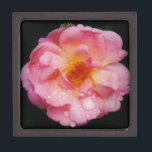 Joyero Rosa rosada con Dew Drogas fondo negro<br><div class="desc">Rosa rosa con gotas de lluvia Fondo negro Trae la belleza de la naturaleza a cualquier ocasión especial con esta popular rosa rosada, Perfecto para bodas compromisos, fiestas de novias, cumpleaños, aniversarios, fiestas de jardín Añadir texto a los productos. Todo es personalizable. Para agregar o cambiar el texto, incluidos los...</div>