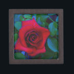 Joyero Roses rojos con tonos azules<br><div class="desc">Roses rojos con tonos azules Rojo Rosa Lovely color rojo rosa fondo leído para personalizar con tu texto. Genial para cualquier amante rosa. Foto de Sandy Closs, tomada en Lake Arrowhead. "rosa roja" "rosas rojas" "rosa rosada" "rosas rosas rosas rosas" "bodas" "regalo de amor" "flor roja" "flores rojas" "rosas de...</div>