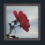 Joyero Roses rojos contra un brillante cielo azul<br><div class="desc">Roses rojos contra un cielo azul brillante. Foto de Sandy Closs,  tomada en Lake Arrowhead. Valentines" El día de San Valentín "rosa roja" "rosas rojas" "rosa rosa rosa rosa" "rosas rosas rosas" "bodas" "regalo de amor" "flor roja" "flores rojas" "flores rojas" "rosas de flores rojas" rosas "regalos con rosas"</div>