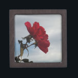 Joyero Roses rojos contra un brillante cielo azul<br><div class="desc">Roses rojos contra un cielo azul brillante. Foto de Sandy Closs,  tomada en Lake Arrowhead. Valentines" El día de San Valentín "rosa roja" "rosas rojas" "rosa rosa rosa rosa" "rosas rosas rosas" "bodas" "regalo de amor" "flor roja" "flores rojas" "flores rojas" "rosas de flores rojas" rosas "regalos con rosas"</div>
