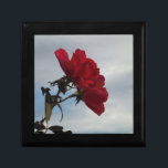 Joyero Roses rojos contra un brillante cielo azul<br><div class="desc">Roses rojos contra un cielo azul brillante. Foto de Sandy Closs,  tomada en Lake Arrowhead. Valentines" El día de San Valentín "rosa roja" "rosas rojas" "rosa rosa rosa rosa" "rosas rosas rosas" "bodas" "regalo de amor" "flor roja" "flores rojas" "flores rojas" "rosas de flores rojas" rosas "regalos con rosas"</div>