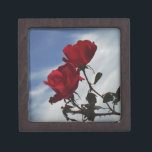 Joyero Roses rojos contra un brillante cielo azul<br><div class="desc">Roses rojos contra un cielo azul brillante. Foto de Sandy Closs,  tomada en Lake Arrowhead. "rosa roja" "rosas rojas" "rosa rosada" "rosas rosas rosas rosas" "bodas" "regalo de amor" "flor roja" "flores rojas" "rosas de flores rojas" azul rojo "regalos con rosas"</div>