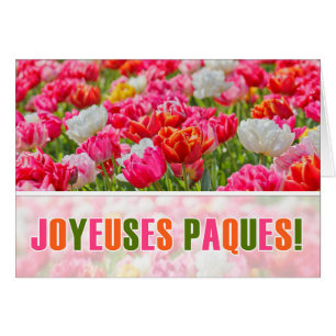 Joyeus de Pascua FRANCESA Paquetes Pink Tulip Gard