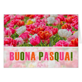 Joyeus de Pascua ITALIANO usa el Jardín de Tulipan