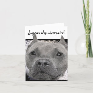 Joyeux Anniversario Pitbull Perro tarjeta de salud