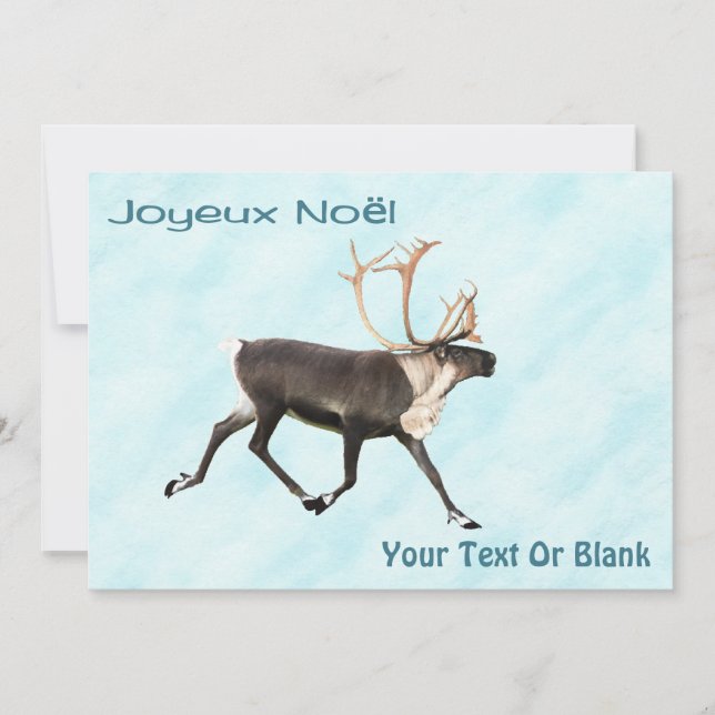 Joyeux Noё l - Caribou (Reno) On Snow (Anverso)