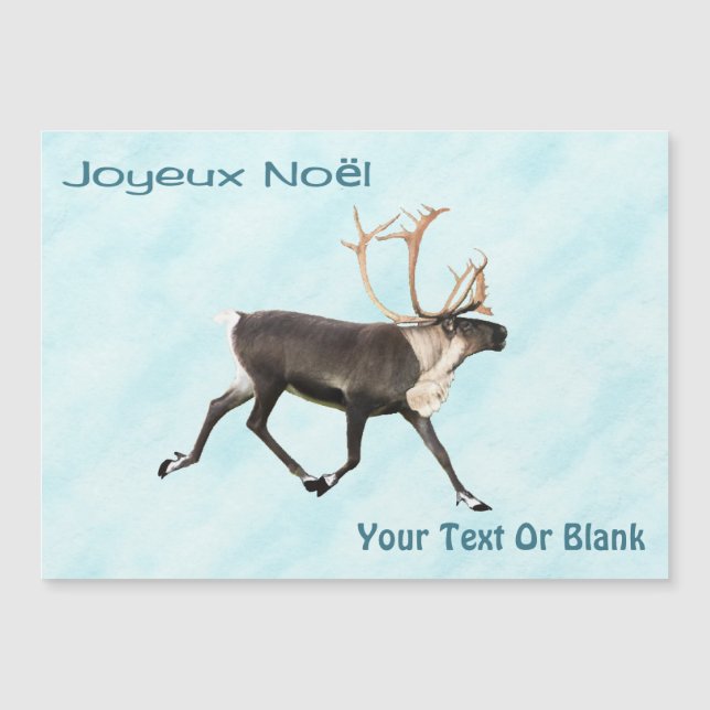 Joyeux Noё l - Caribou (Reno) On Snow (Anverso)