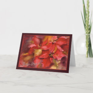 joyeux Noël, navidad en francés, poinsettia