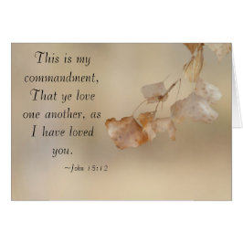 Juan 15:12 amense unos a otros