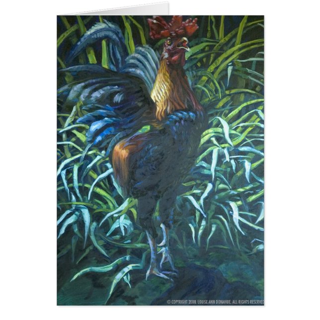 Juan de muchos (Frente)