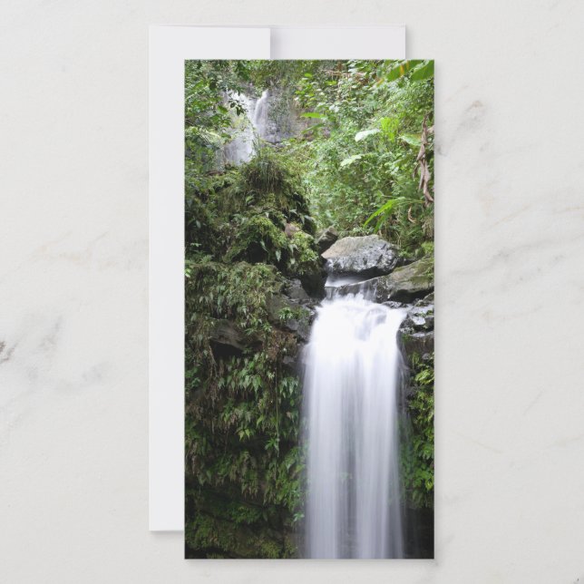 Juan Diego Falls (Anverso)