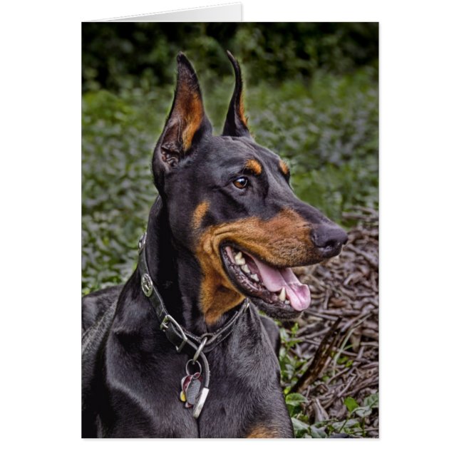 ¡Júbilo del Doberman! Tarjeta (Frente)