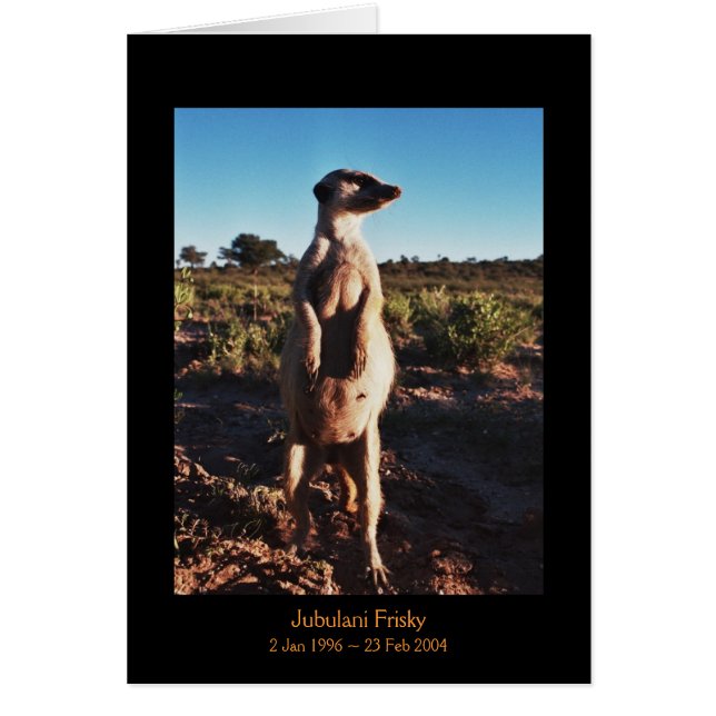 Jubulani juguetón - tarjeta de las leyendas (Frente)