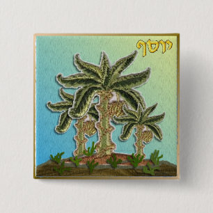 Judaica 12 Tribus de Israel Botón de Joseph con Re