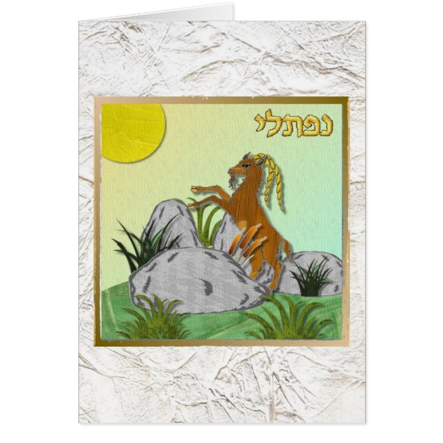 Judaica 12 Tribus De Israel Naphtali (Frente)