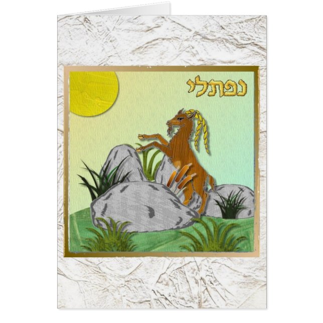 Judaica 12 Tribus Israel Naphtali (Frente)