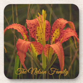 Juego de 6 posavasos "Florida Lily"