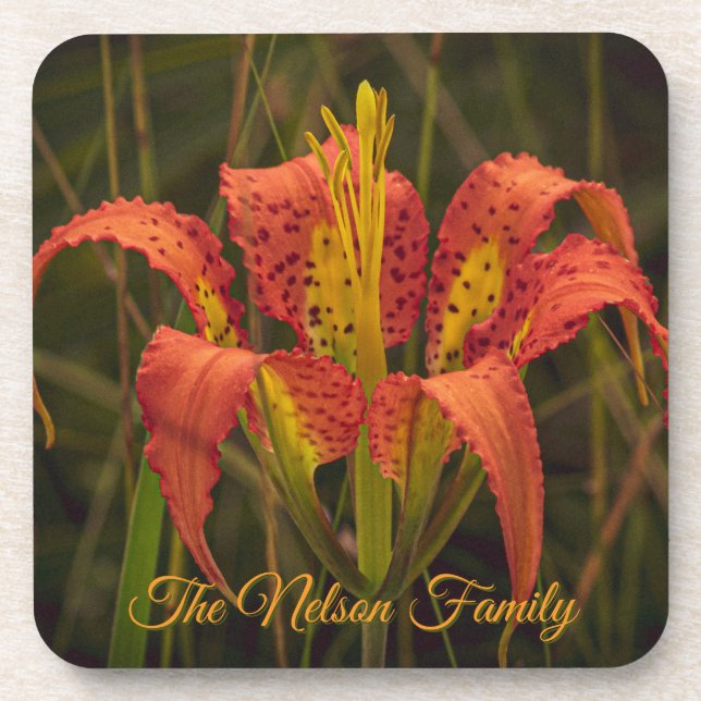 Juego de 6 posavasos "Florida Lily" (Frente)
