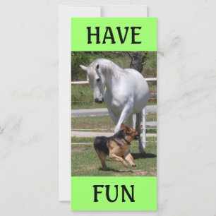 JUEGO DE CABALLO Y PERRO