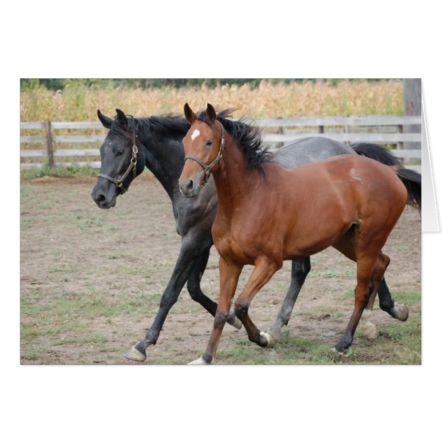 Juego de caballos (Anverso (Horizontal))