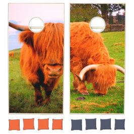 Juego de Cornhole para vacas de altiplano escocés