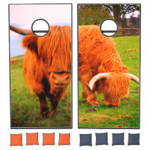 Juego de Cornhole para vacas de altiplano escocés
