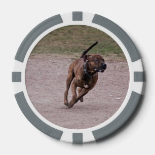 Juego De Fichas De Póquer Amstaff corriendo