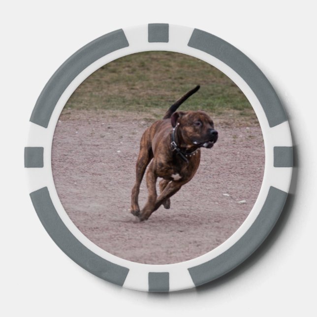 Juego De Fichas De Póquer Amstaff corriendo (Anverso)
