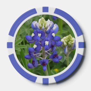 Juego De Fichas De Póquer Bluebonnet de Tejas