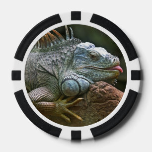 Juego De Fichas De Póquer Chip de poker personalizado de Iguana