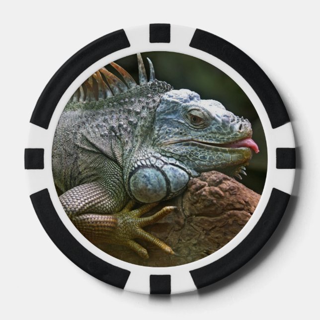 Juego De Fichas De Póquer Chip de poker personalizado de Iguana (Anverso)