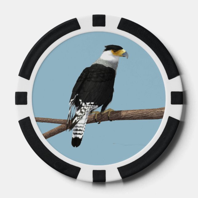 Juego De Fichas De Póquer Crested Caracara Clay Poker Chip (Anverso)