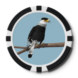 Juego De Fichas De Póquer Crested Caracara Clay Poker Chip
