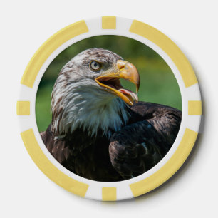 Juego De Fichas De Póquer fotografía de águila