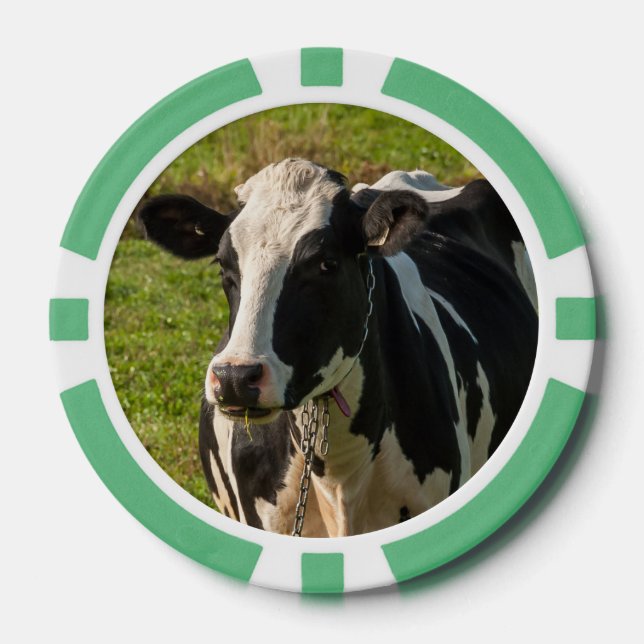 Juego De Fichas De Póquer fotografía de vaca (Anverso)