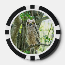 Juego De Fichas De Póquer Lechuza Horneada