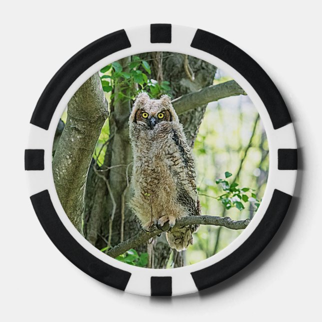 Juego De Fichas De Póquer Lechuza Horneada (Anverso)
