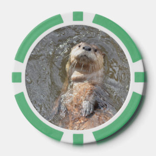 Juego De Fichas De Póquer Otter Back Float