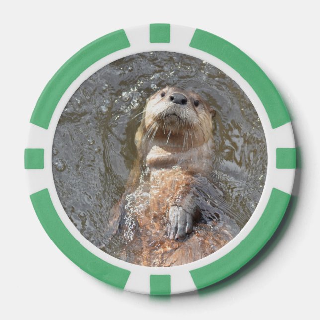Juego De Fichas De Póquer Otter Back Float (Anverso)