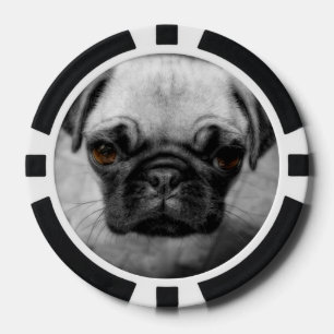 Juego De Fichas De Póquer Pug Pup